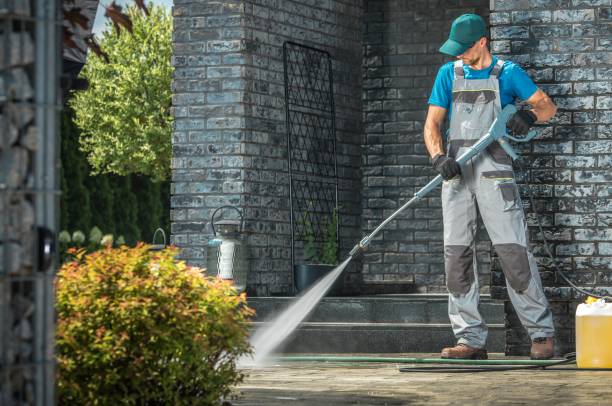 Best Dumpster Area Cleaning  in Sands Point, NY